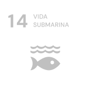 Vida submarina