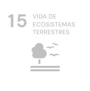 Vida de ecosistemas terrestres